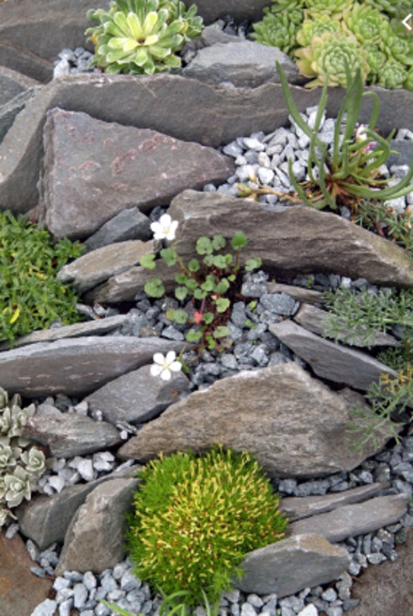 <p>Rockery (n) /ˈrɒkəri/</p>