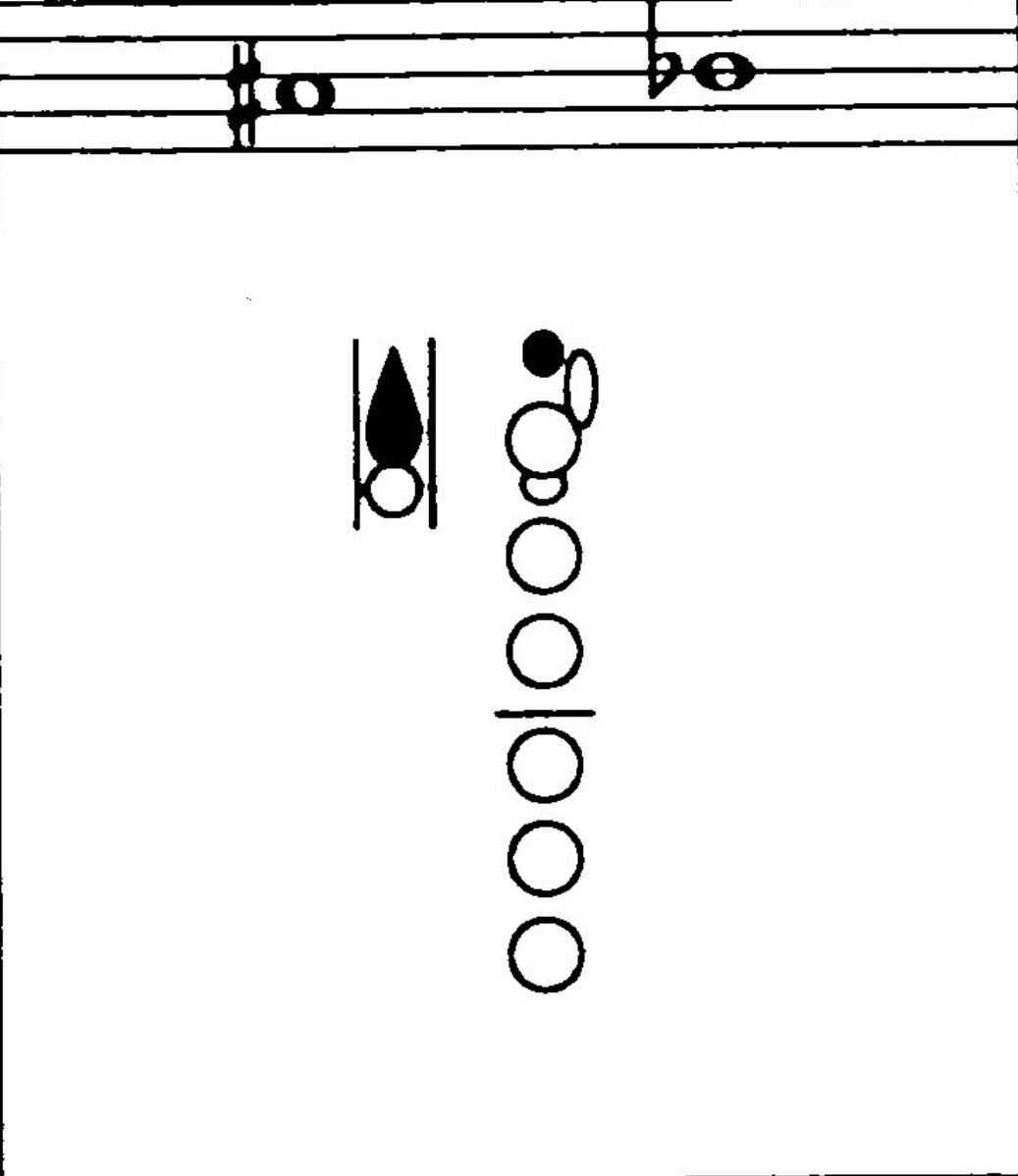 <p>What notes are these?</p>