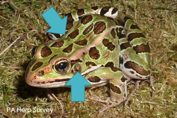<p>What is this?</p>