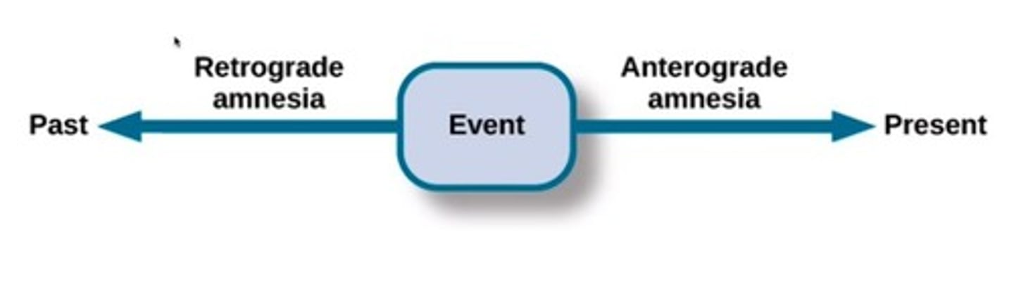 <p>Anterograde amnesia is the inability to form new memories after the onset of amnesia.</p>