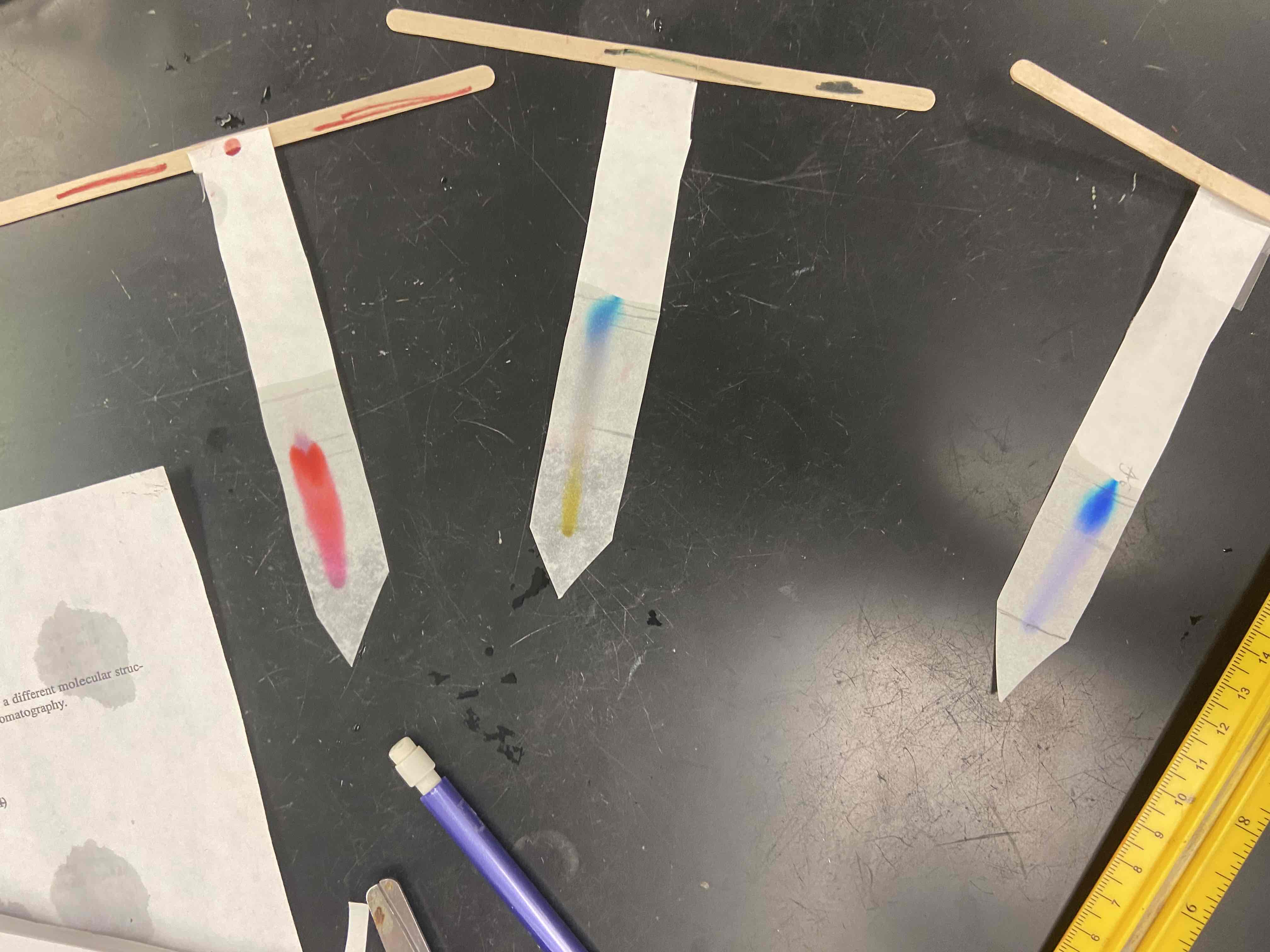 <p>Most soluble substance moves castes, trying to figure out which is more pure (for example blue is more pure due to having no other color change.)</p>