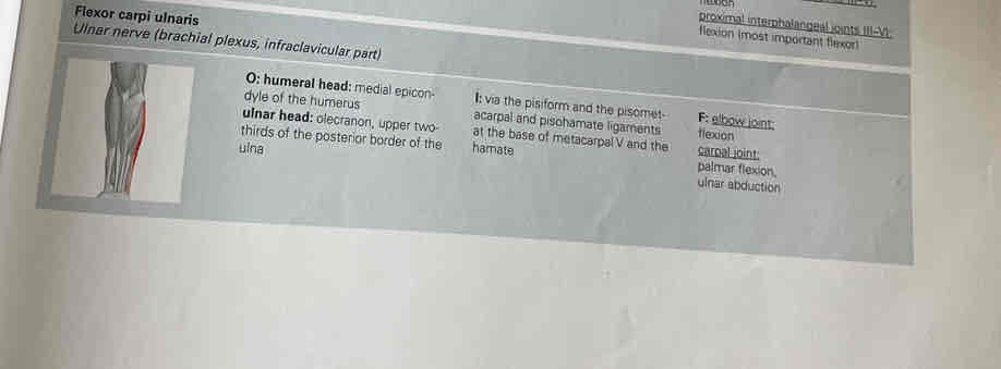 knowt flashcard image