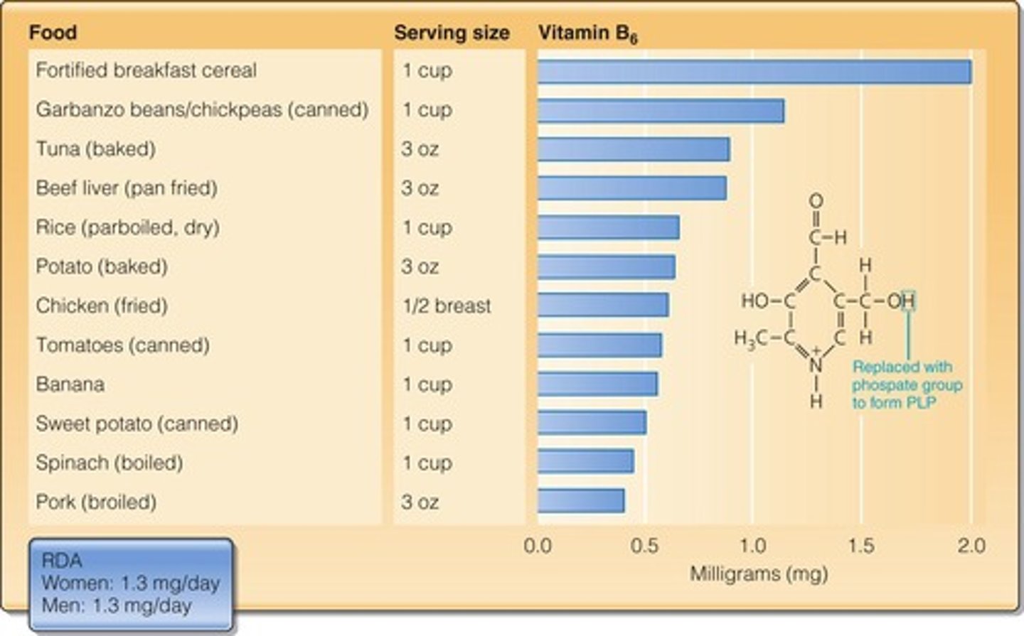 <p>It acts as a coenzyme in amino acid metabolism and neurotransmitter synthesis.</p>