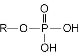 <p>What Functional Group is this?</p>