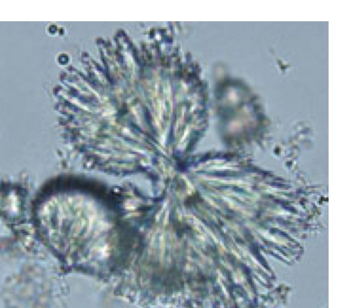 Identify this crystal.