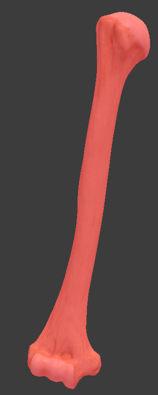 <p>What whole structure is highlighted in red?</p>