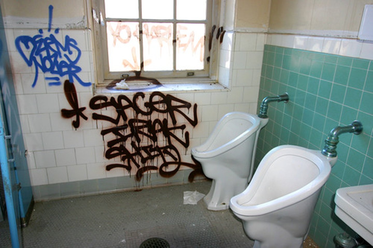 <p>Special diploid cells used for reproduction. Produces gametes through meiosis that occur only in ovaries and testes.</p>