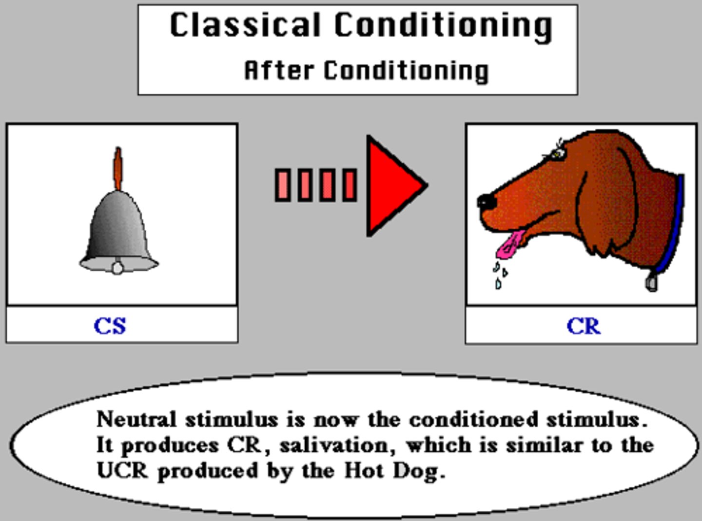 <p>In classical conditioning, an originally irrelevant stimulus that, after association with an unconditioned stimulus, comes to trigger a conditioned response</p>