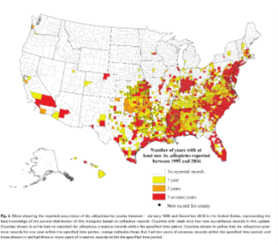 <p>Aedes Albopictus has temperate and tropical forms. In its native range it occurs across a broad latitudinal range.&nbsp;</p>