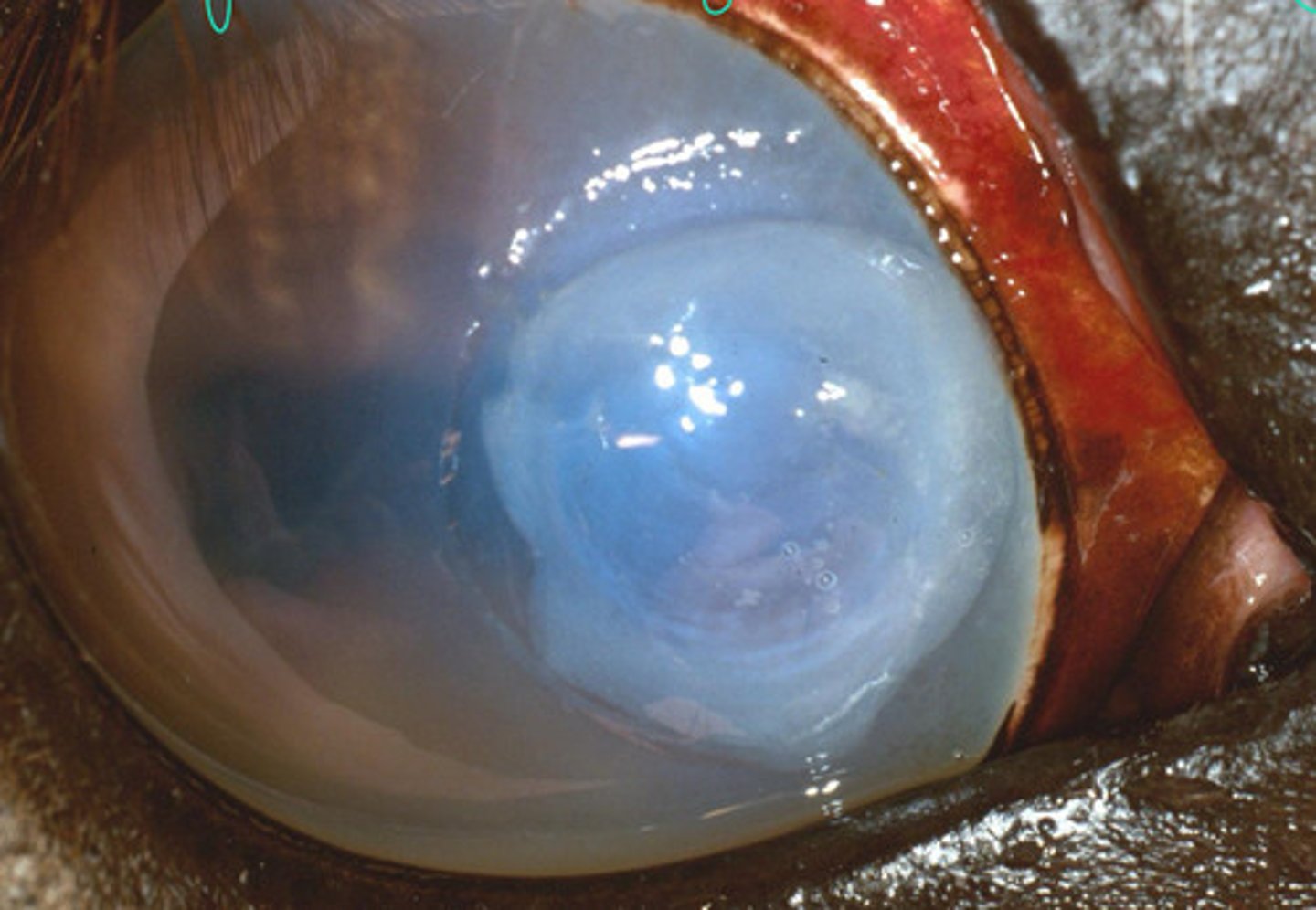 <p>Describe what you are seeing?</p>