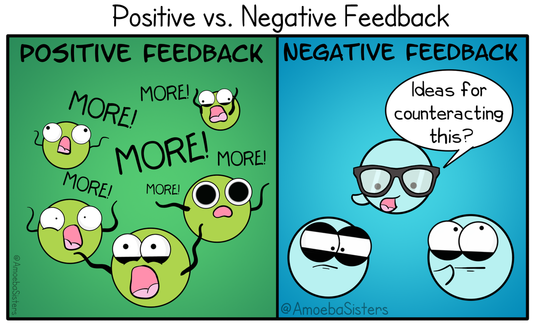 <p><strong>Negative Feedback</strong></p><p>will <span style="color: red"><strong>reverse</strong></span> the change </p><p>( stimulus )</p><p>or <span style="color: red"><strong>slow it down</strong></span></p>