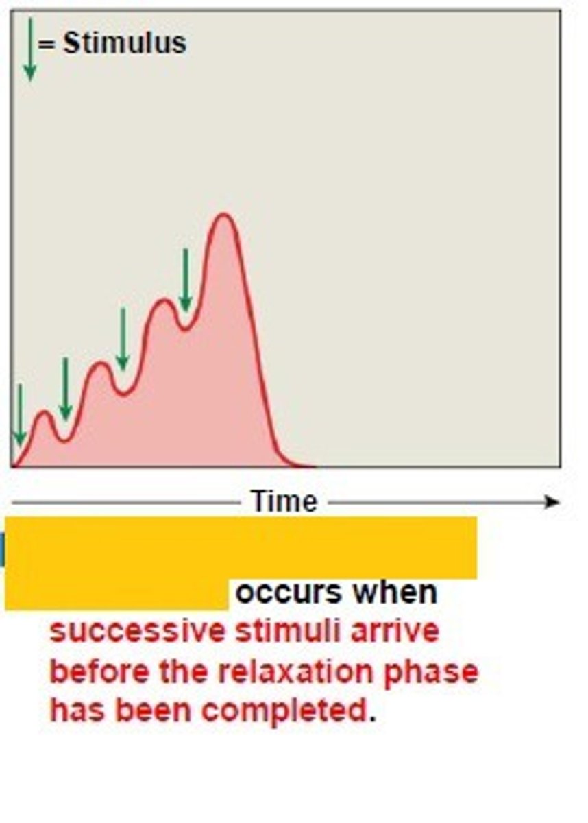 <p>this occurs when a second stimulus is received before the muscle fiber has relaxed, creating a second contraction that is stronger than the first</p>