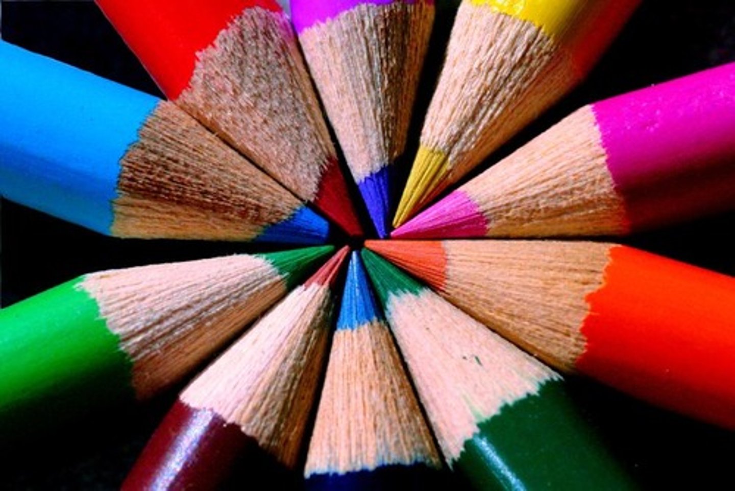 <p>color</p>