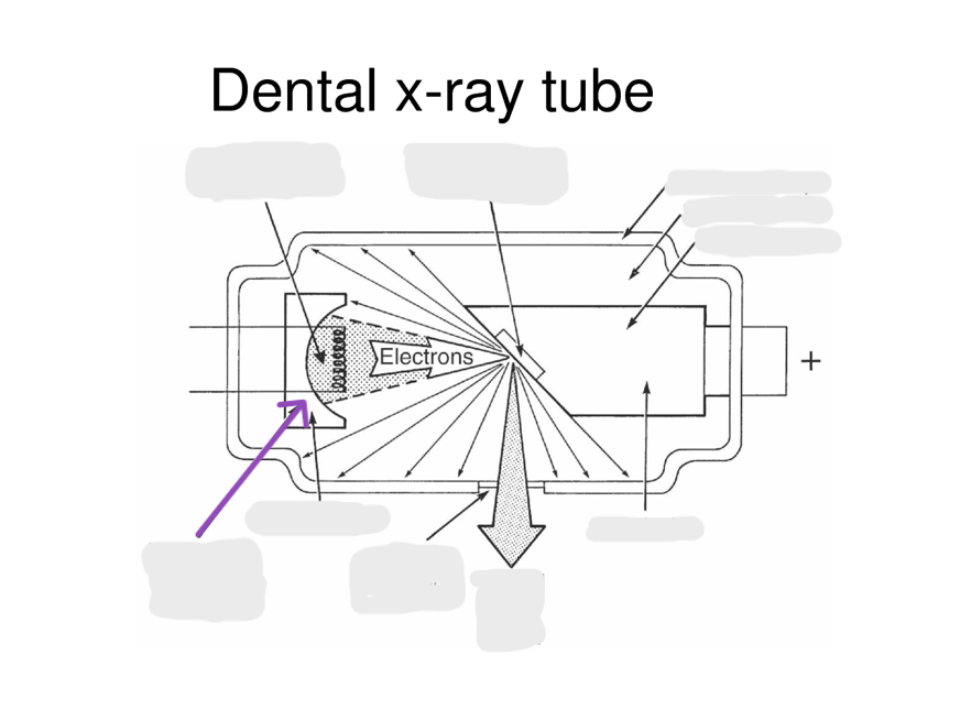 <p><strong>directs and focuses electrons towards the target area </strong>to enhance the efficiency of X-ray production</p>