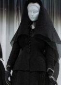<p>fashion for mourning — veiled for a year</p>