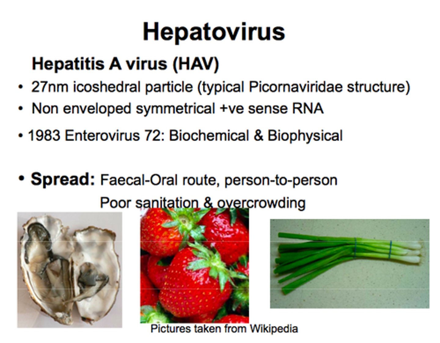 <p>Hepatitis A</p>