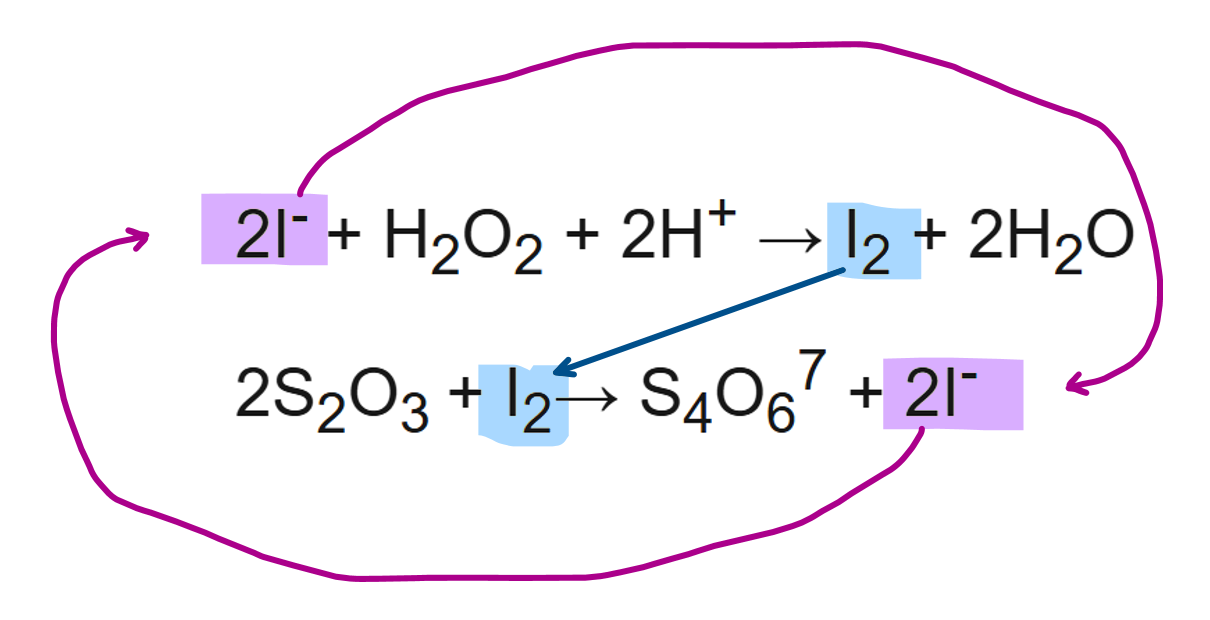 <p>I<sup>-</sup> ions react with hydrogen peroxide to form I<sub>2</sub>. </p><p>these I<sub>2</sub> immediately reacts with S<sub>2</sub>O<sub>3</sub><sup>2- </sup>ions to form I<sup>- </sup>again, preventing them from turning starch indicator blue black</p><p>only after all the thiosulfate ions have reacted, is there any I<sub>2</sub> remaining which turns starch indicator blue black </p>