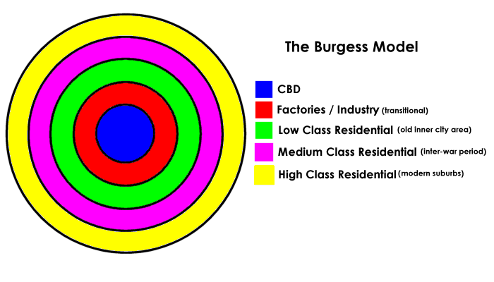 <p><strong>(Concentric Zone Model)</strong></p><p>Suggests cities develop in rings around a central core (CBD). Inner rings are poorer or industrial, outer rings are wealthier suburbs. Criticized for being too simplistic and outdated.</p><p></p>