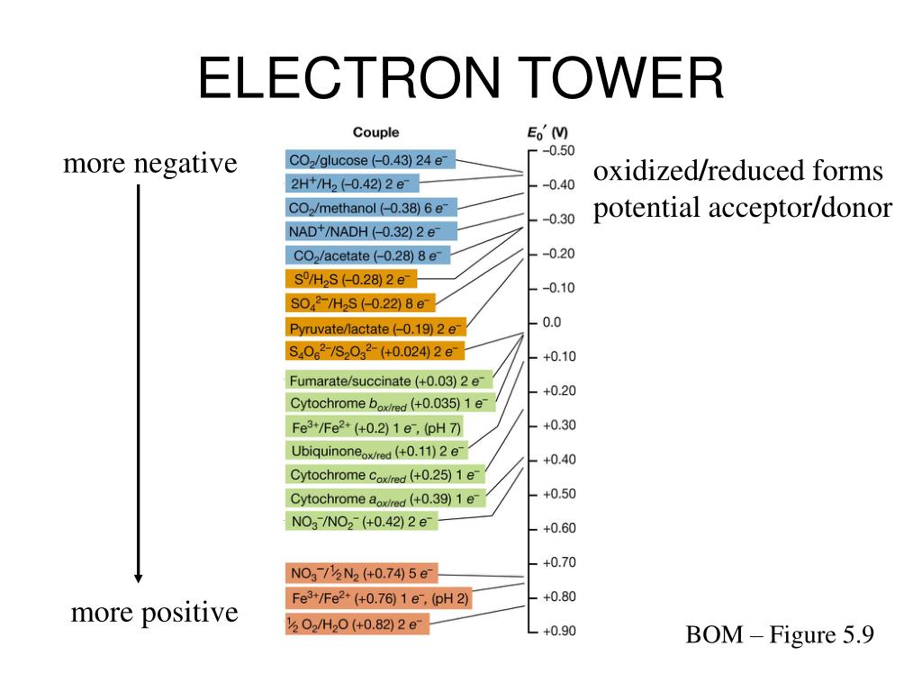 <p>The bigger the difference in reduction potential, the better the couple and better ATP output<br>Reduction potential - affinity for e- </p>