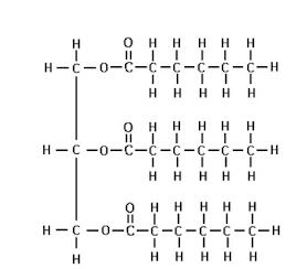 <p>not a drug what is this structure?</p>