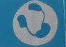 <p>State the name, function and special feature(s) of the image.</p>
