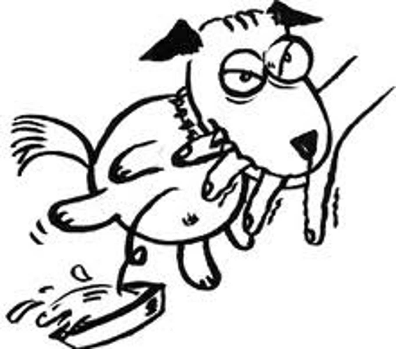 <p>Nimetine nankörlük etmek</p>