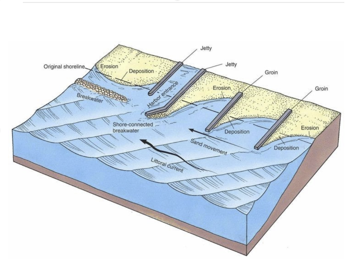 <p>A structure built perpendicular to the shoreline to trap sand and reduce longshore drift.</p>