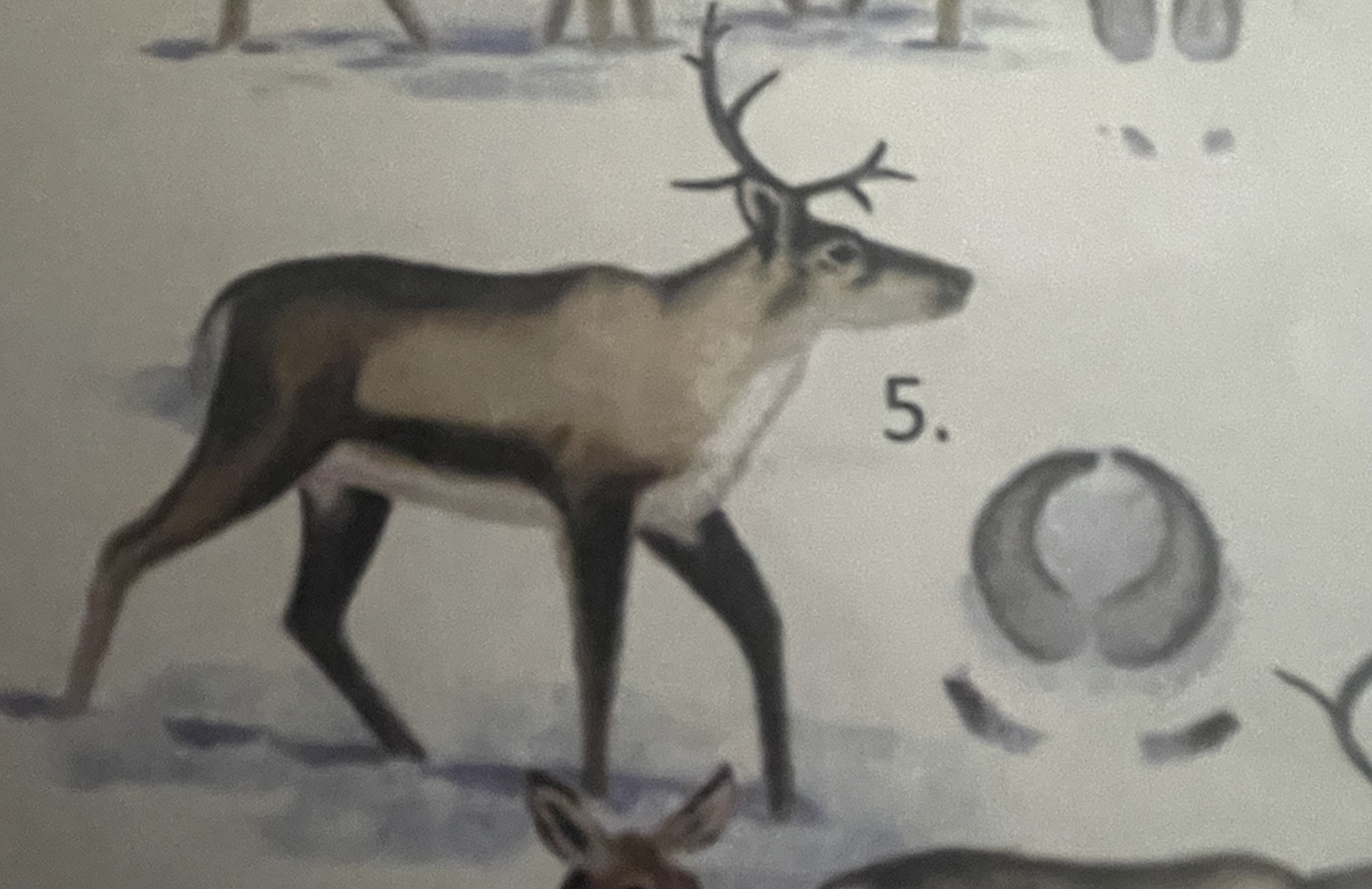 <p>mikä eläin</p>