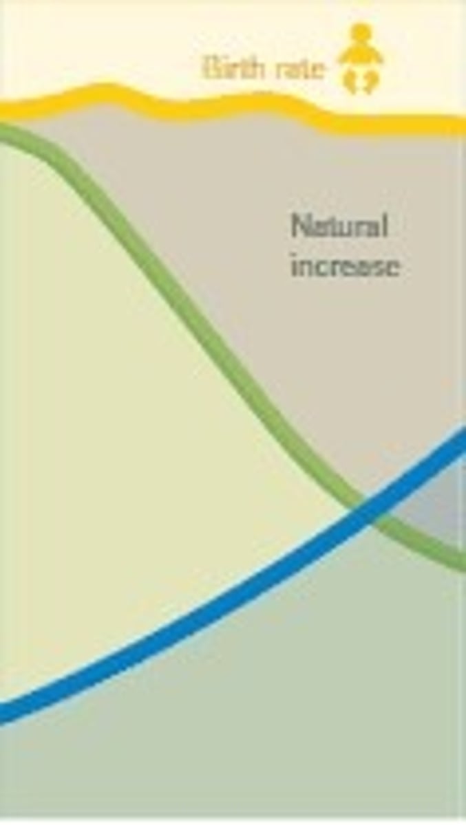 <p>rapid population growth: high birth rates &amp; declining death rates</p>