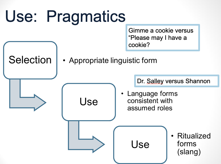 <ul><li><p>study of language in contexts and on language as a communication tool that is used to achieve social ends</p></li><li><p>includes communication intentions and the number of ways they are carried out, conversational rules, and types of discourse</p></li></ul><p>conversational rules:</p><ul><li><p>turn taking</p></li><li><p>topic initiation. maintenance, and closing</p></li><li><p>relevant contributions</p></li><li><p>providing feedback</p></li><li><p>providing clarification</p></li></ul><p></p>