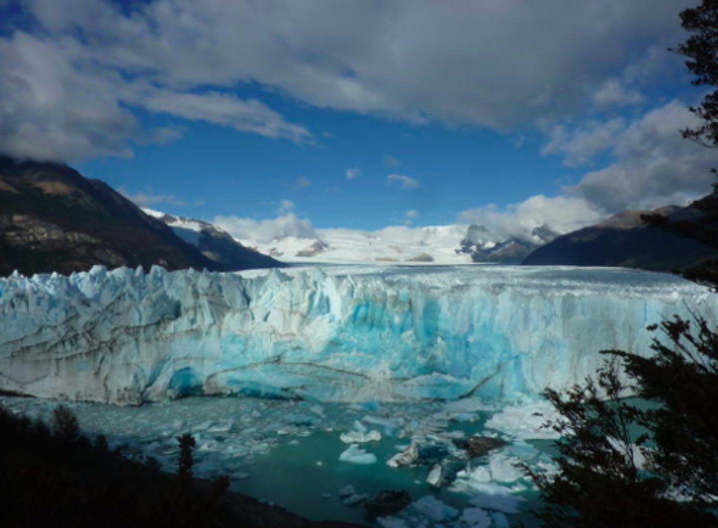 <p>Puedes hacer un tour en bote para ver y caminar en los glaciares. Como la bandera de Argentina, son blancos y azules. Son muy bonitos y reflejan mucha luz azul.</p>