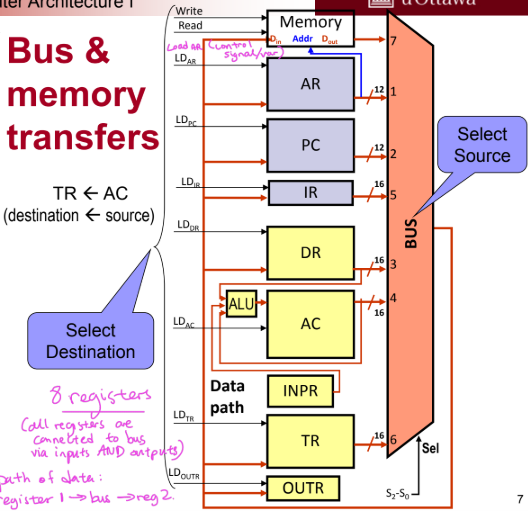 <ul><li><p>every register is connected to the bus to allow registers to “communicate” with each other</p></li><li><p>the bus controls the “control inputs” and the transfer of info between registers</p></li><li><p>the register with LD = 1 is the DESTINATION of the data</p></li><li><p>the register sending data into the bus through the multiplexer system is the SOURCE of the data</p></li></ul><p></p>