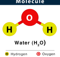 <p>Molecule</p>