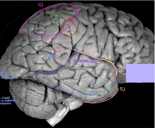 <p>What is number 7?</p>