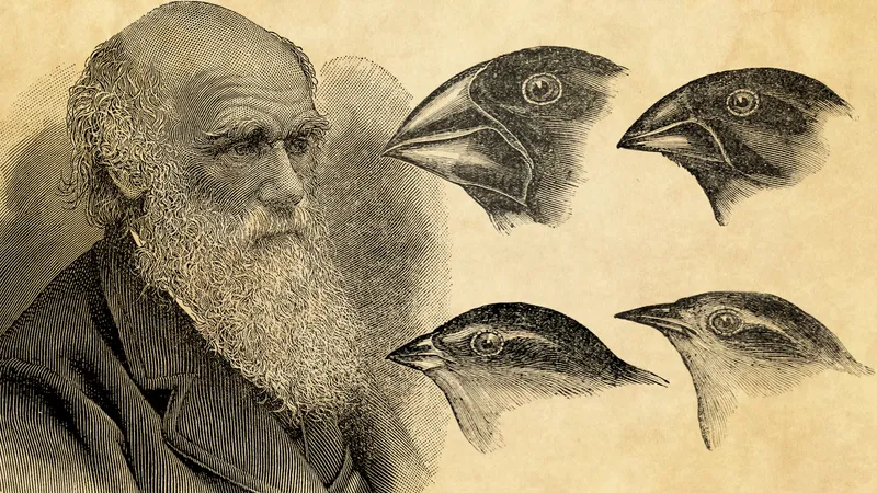 <p>Who was Charles Darwin?</p><p>Lifespan</p>