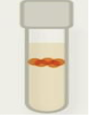 <p>oxygen use in metabolism? small amounts</p><p>Can effectively manage reactive oxygen species? yes (but only low amounts)</p>
