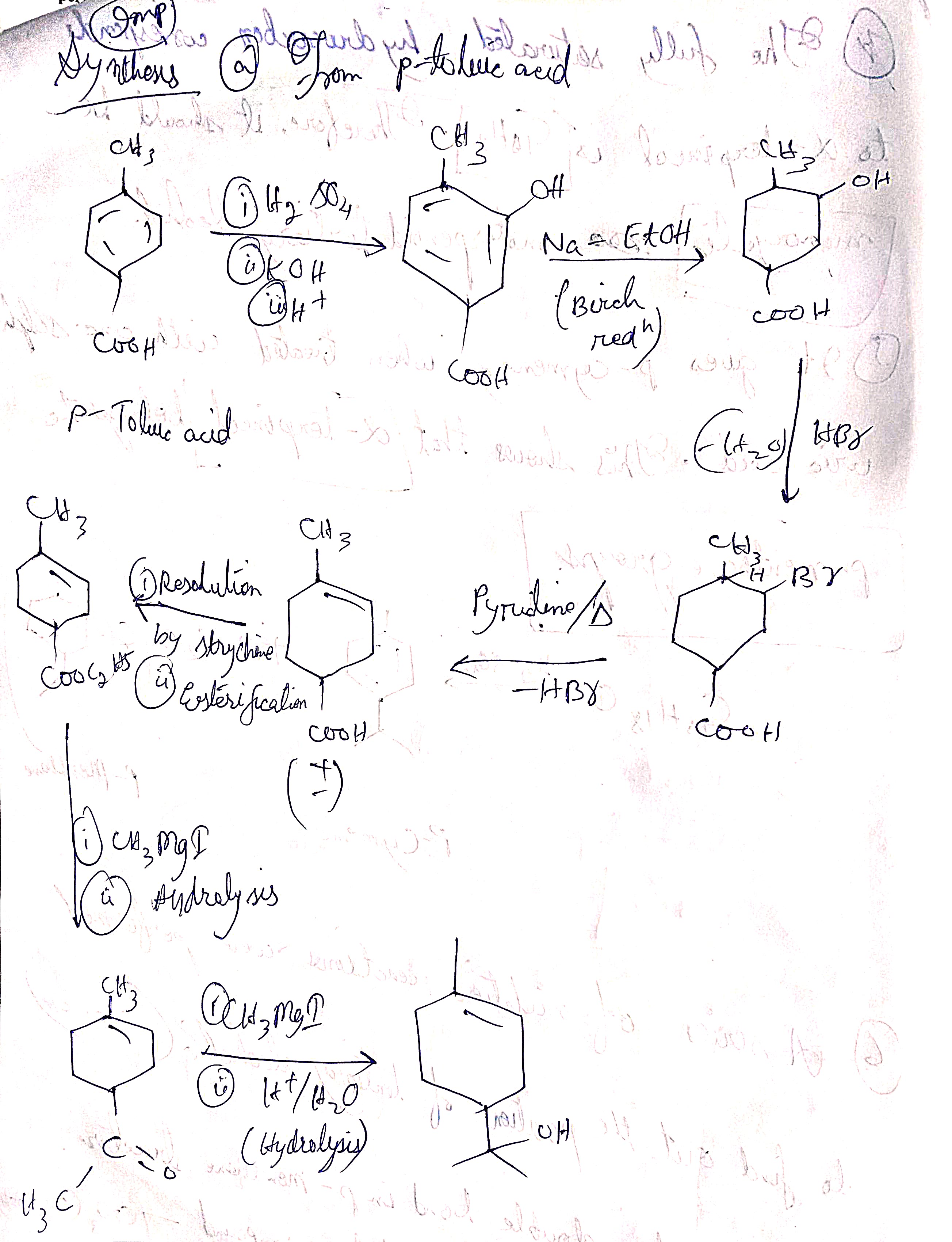 knowt flashcard image