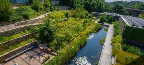 <p> The seven 7 Landscape Architecture trends:</p><p><strong>Define the trend: Being “Green”</strong></p>