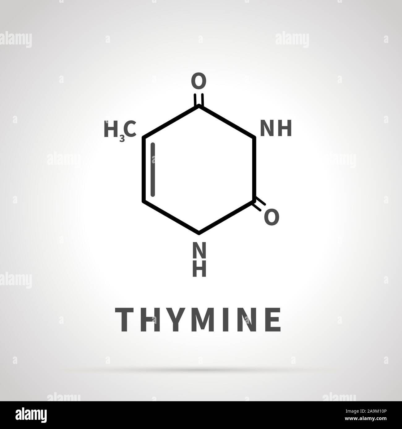 <p><strong>Thymine (T)</strong></p><ul><li><p class="ds-markdown-paragraph"><strong>Found in:</strong> DNA only</p></li><li><p class="ds-markdown-paragraph"><strong>Structure:</strong></p><ul><li><p class="ds-markdown-paragraph">A pyrimidine base.</p></li><li><p class="ds-markdown-paragraph">It has <strong>two carbonyl groups (C=O)</strong> at carbons 2 and 4, and a <strong>methyl group (-CH₃)</strong> at carbon 5. This methyl group is its key distinguishing feature.</p></li></ul></li><li><p class="ds-markdown-paragraph"><strong>Pairing:</strong> Thymine pairs with <strong>Adenine (A)</strong> in DNA.</p></li></ul><p></p>