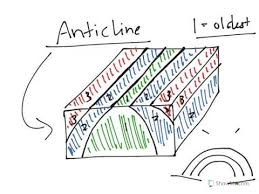 <p>A fold arching upward where the older rocks are located in the middle.</p>