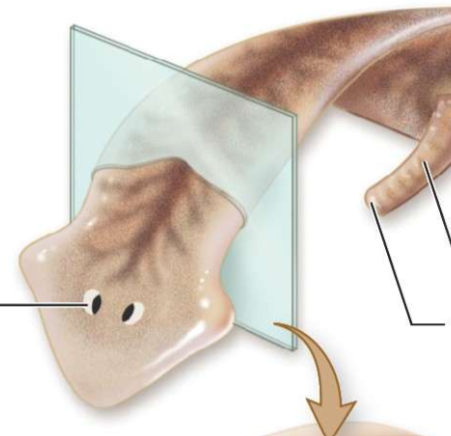 <p>What is the left most line?</p>