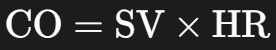 <ul><li><p><strong>Stroke Volume (SV):</strong> The volume of blood ejected in each heartbeat</p></li><li><p>Heart Rate (HR): The number of beats per minute.</p><p></p></li></ul><p></p>
