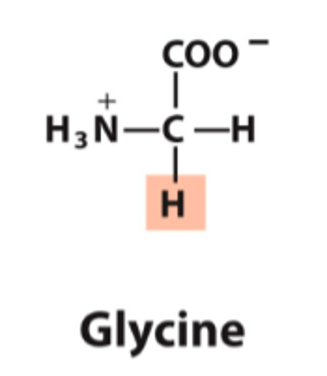 <p>What is the classification of this amino acid's R group?</p>