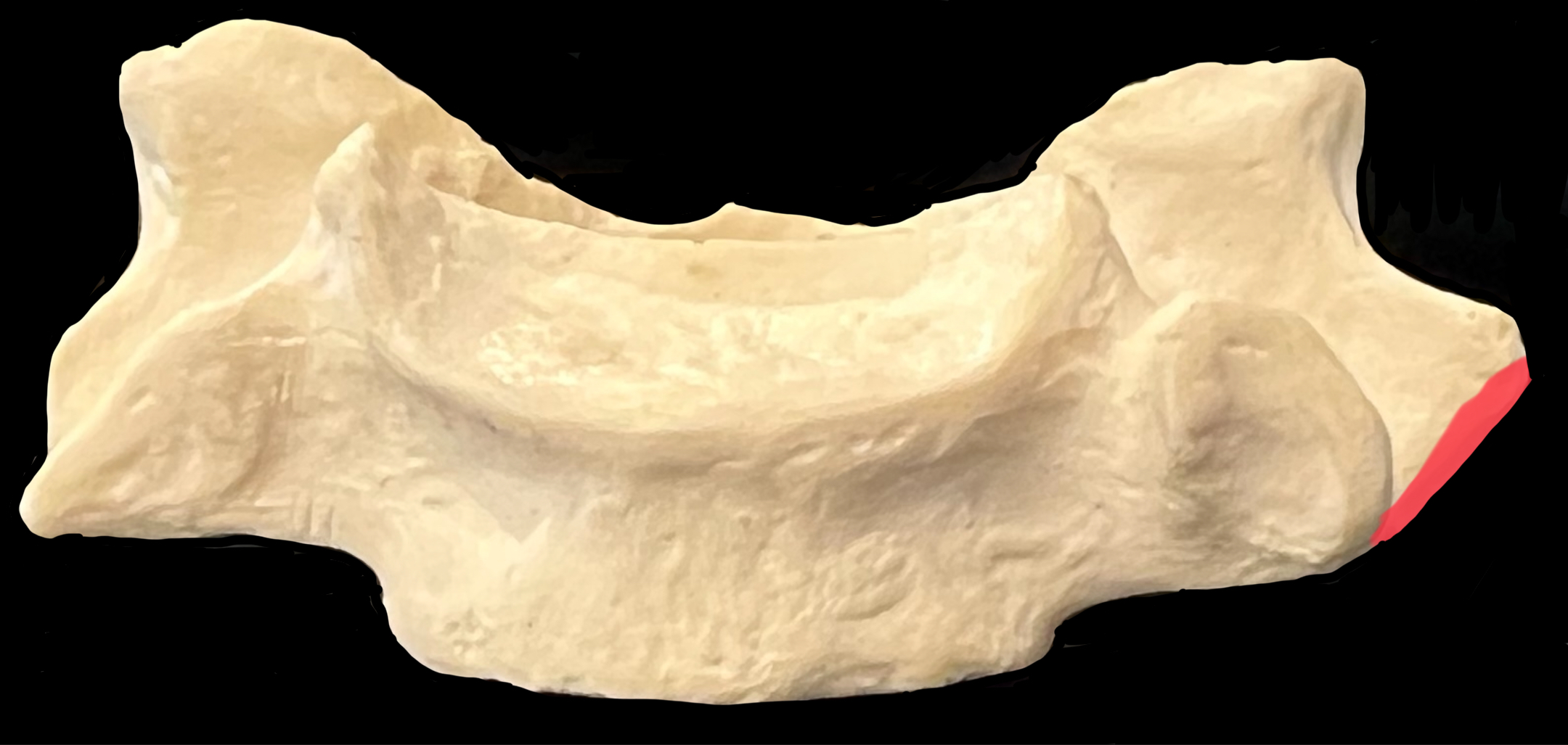 What is highlighted in red?