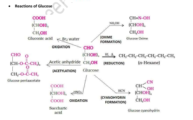 <p>When <strong>glucose reacts with different reagents</strong>, the following products are formed along with key inferences:</p><ul><li><p><strong>With HI:</strong></p><ul><li><p><strong>Product:</strong> <em>n-Hexane</em></p></li><li><p><strong>Inference:</strong> All the 6 carbon atoms are linked in a straight chain.</p></li></ul></li><li><p><strong>With HCN:</strong></p><ul><li><p><strong>Product:</strong> <em>Cyanohydrin</em></p></li><li><p><strong>Inference:</strong> Indicates the presence of a carbonyl group.</p></li></ul></li><li><p><strong>With NH₂OH:</strong></p><ul><li><p><strong>Product:</strong> <em>Oxime</em></p></li><li><p><strong>Inference:</strong> Confirms the presence of a carbonyl group.</p></li><li><p><strong><u>A:</u></strong> Pentaacetate of D-glucose in aqueous medium does not form an open chain structure and thus when it reacts with NH₂OH, it does not form oxime indicating that a free aldehyde (–CHO) group is absent.</p></li></ul></li><li><p><strong>With Bromine water (Br₂/H₂O):</strong></p><ul><li><p><strong>Product:</strong> <em>Gluconic acid</em></p></li><li><p><strong>Inference:</strong> This shows that the carbonyl group is an aldehyde.</p></li></ul></li><li><p><strong>With Acetic anhydride:</strong></p><ul><li><p><strong>Product:</strong> <em>Glucose pentaacetate</em></p></li><li><p><strong>Inference:</strong> Indicates the presence of five –OH groups.</p></li></ul></li><li><p><strong>With Conc. HNO₃:</strong></p><ul><li><p><strong>Product:</strong> <em>Saccharic acid</em></p></li><li><p><strong>Inference:</strong> Confirms that one of the –OH groups is primary.</p></li></ul></li></ul><p></p>