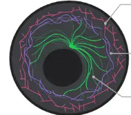 <p>Large network of protein fibers that give shape and structure to the cell.</p>