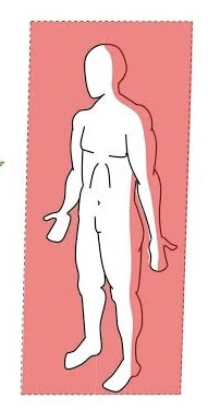 <p>runs vertically from right to left and <strong>divides the body into anterior and posterior parts</strong></p>