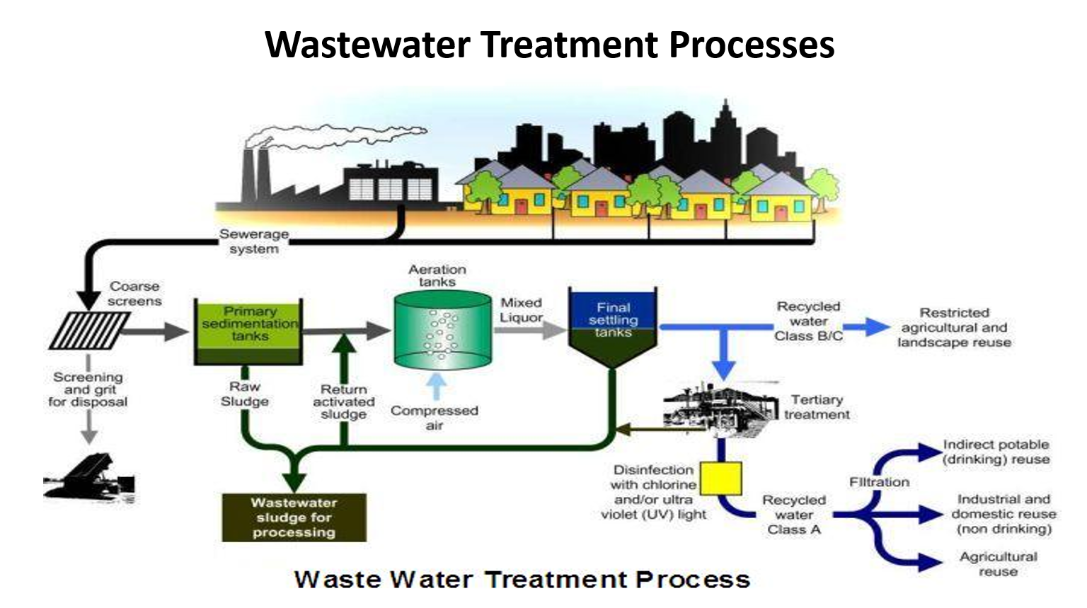 <p>explain the last 3rd of the process</p>