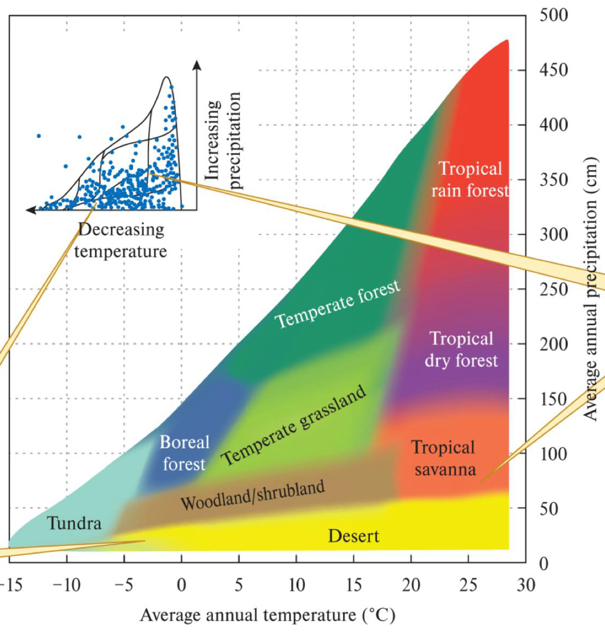 <p>Biomes as a function of MAP + MAT (mean annual temp + precipitation)</p><ul><li><p>shows the range at which each biome occurs</p></li></ul><p></p>