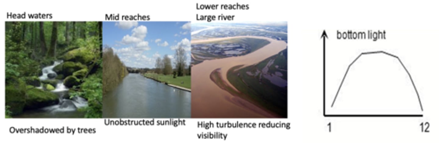 <p>headwaters are overshadowed by trees</p><p>mid reaches have unobstructed sunlight</p><p>lower reaches have high turbulence reducing visibility</p><p>2 multiple choice options</p>